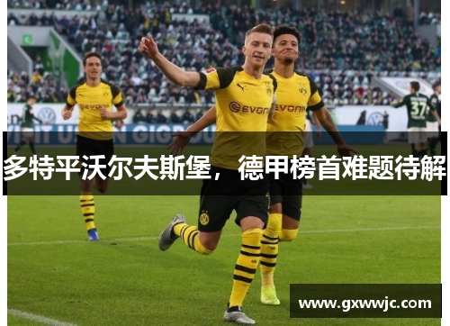 多特平沃尔夫斯堡，德甲榜首难题待解