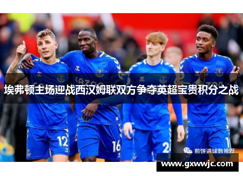 埃弗顿主场迎战西汉姆联双方争夺英超宝贵积分之战